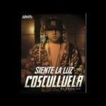 Cosculluela - Siente La Luz MP3