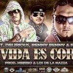 Endo Ft. Delirious, Benny Benny y Polaco - La Vida es Corta MP3